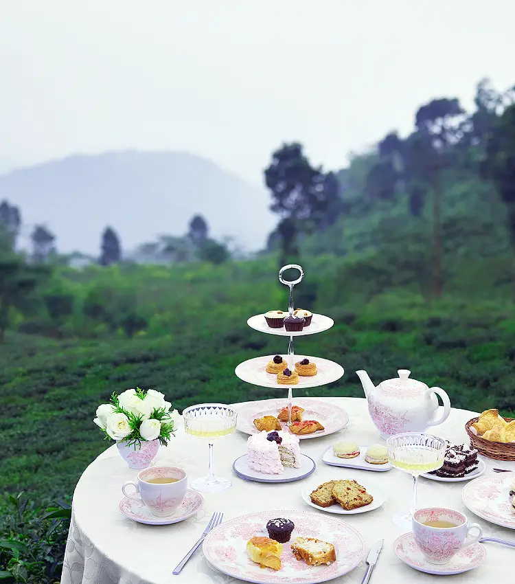 Tea Trails